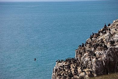 《幽闭深渊》“放火烧它”更新上线 新武器火焰枪等