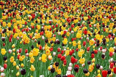 摩托竞速游戏《极速骑行5》公布 截图和预告片分享